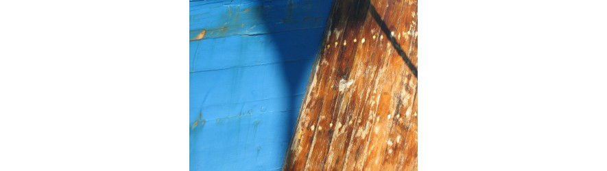 vernis, lasures et huiles pour les bateaux en bois